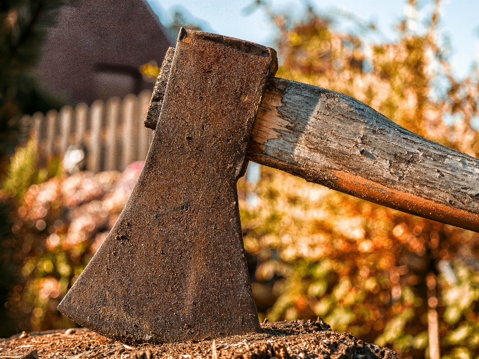 Arbeiten baum natur wald