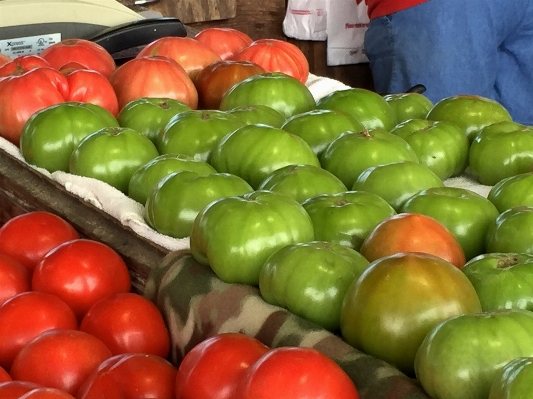 Plant fruit food produce Photo