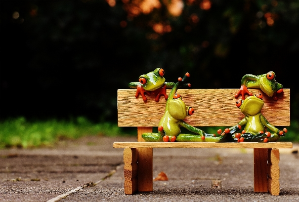 Bench play sweet animal Photo