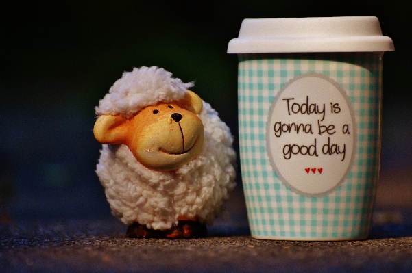 Coffee bird cup sheep Photo