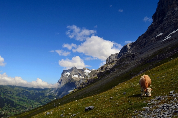 Landscape rock wilderness walking Photo