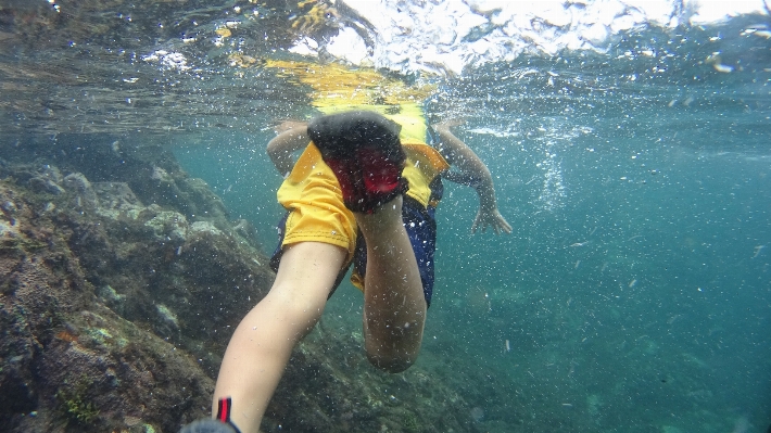 海 水 ダイビング 水中 写真