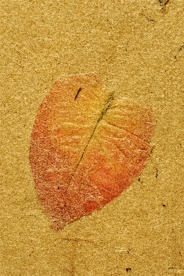 Notebook sand book wood Photo