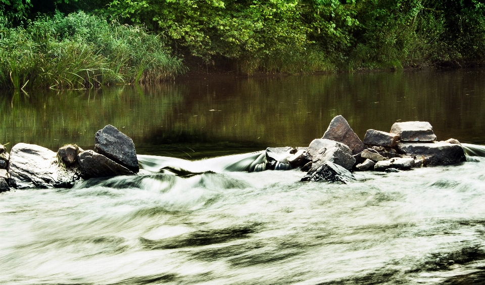 Eau nature herbe rock