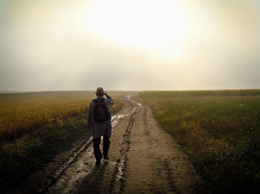 Landscape nature grass horizon Photo