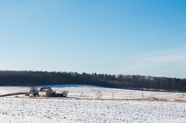 Landscape sea mountain snow Photo