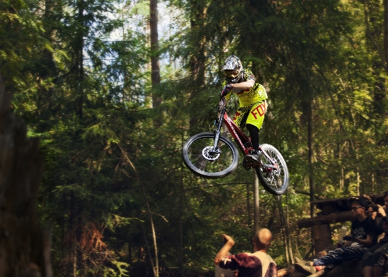 Forest bicycle bike jump Photo