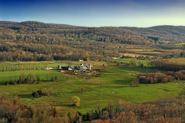 Foto Paesaggio natura selvaggia
 montagna