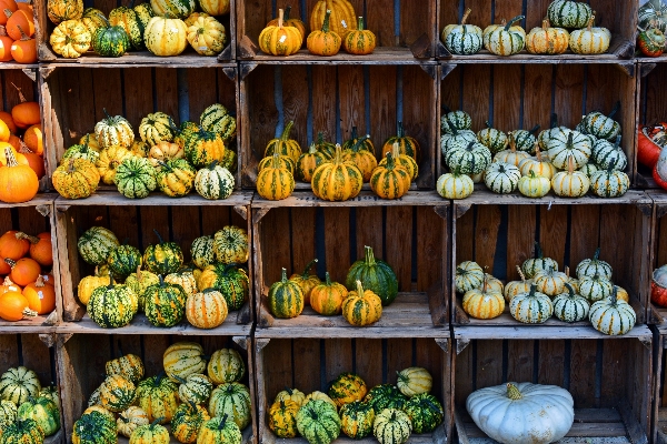 Foto Fazenda cidade decoração comida