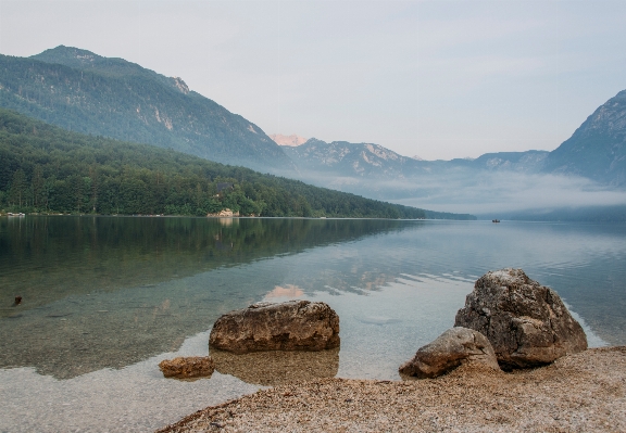 Foto Paisagem mar árvore água