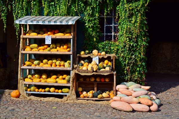 Foto Fazenda flor decoração comida