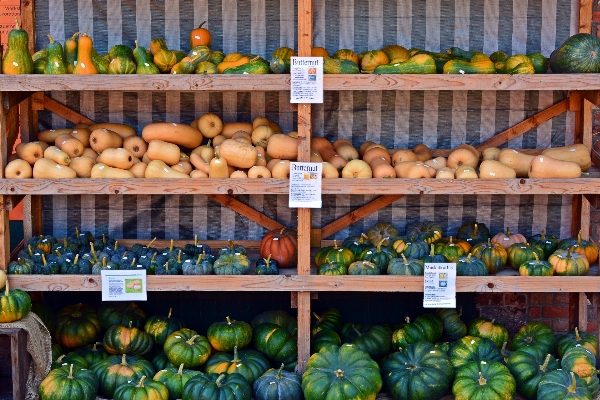 Foto Fazenda cidade decoração comida