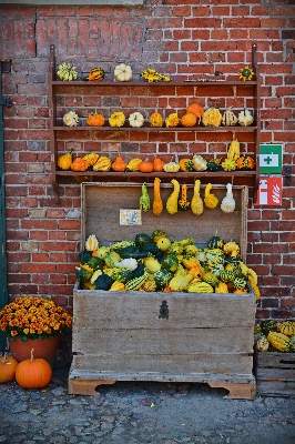 Foto Fazenda parede decoração comida