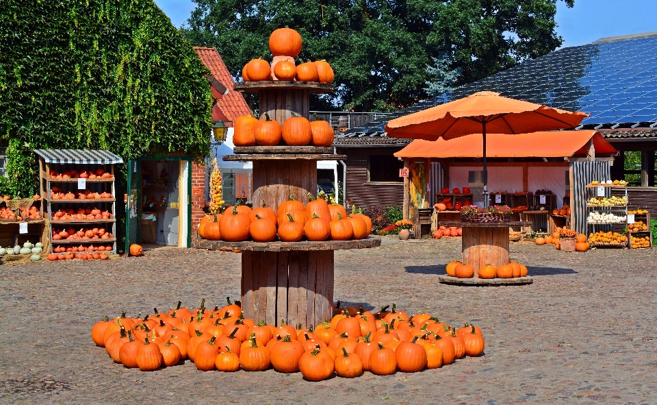 Fazenda jogar decoração outono