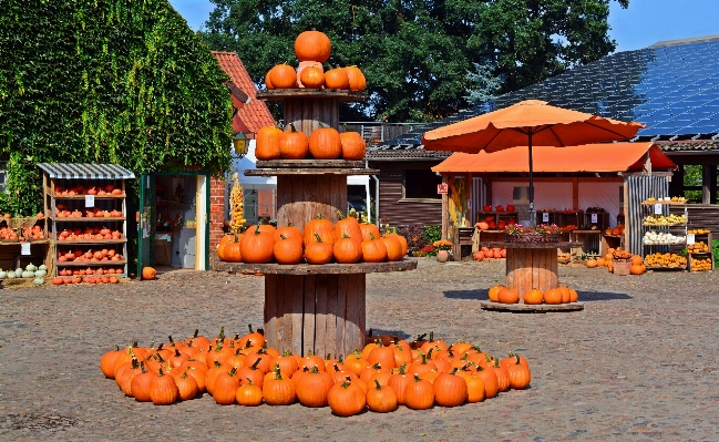 Foto Fazenda jogar decoração outono