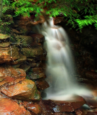 Su doğa orman rock Fotoğraf