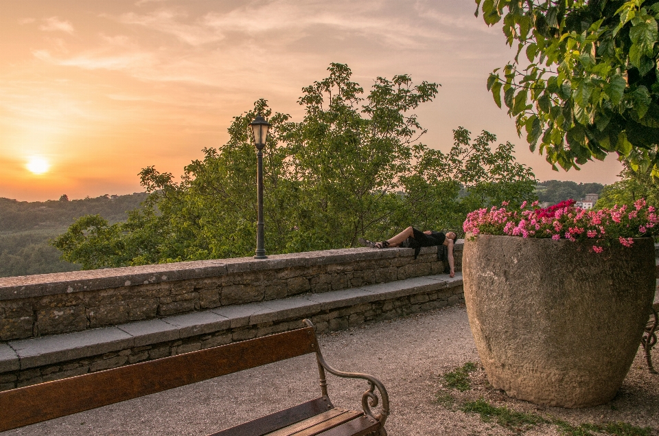 Landscape tree sunset bench