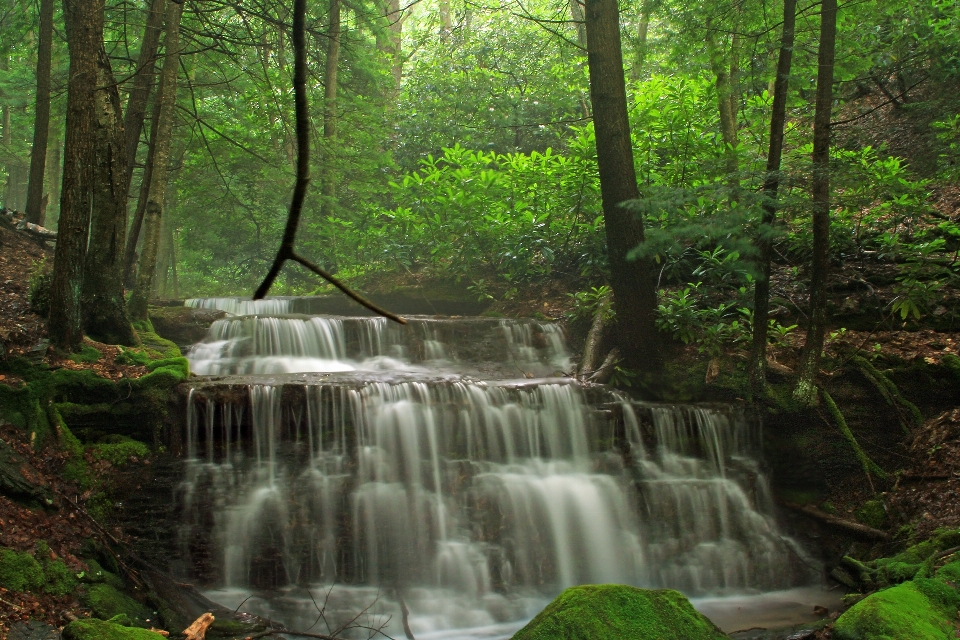 Wald wasserfall bach
 wandern
