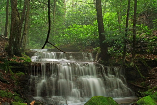 Forest waterfall creek hiking Photo