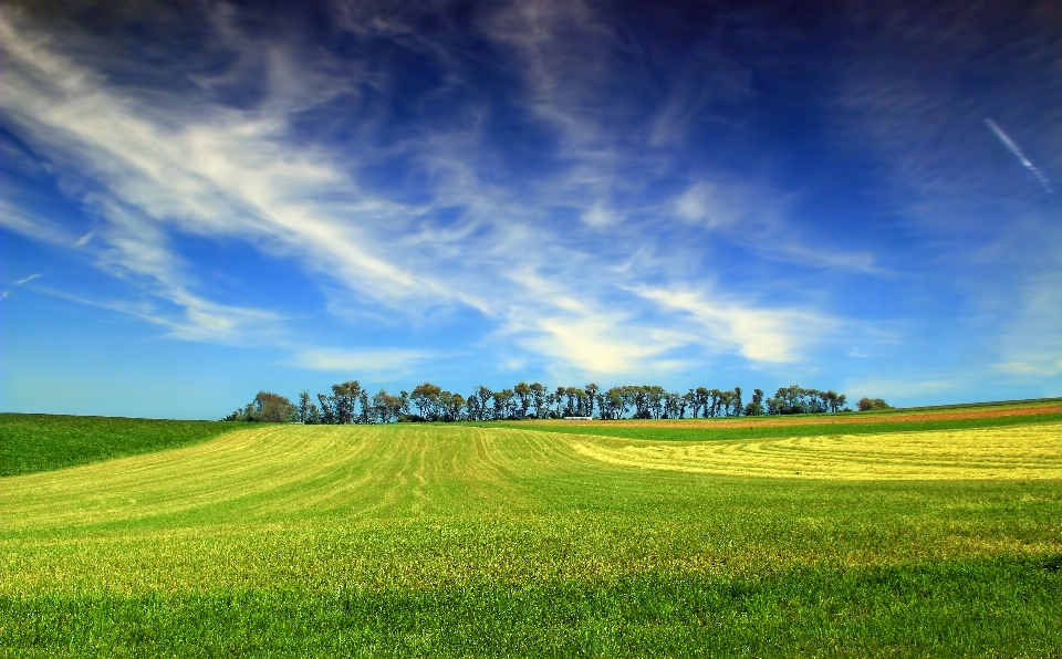 Landscape grass horizon cloud