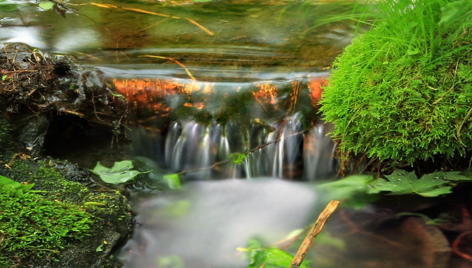 Acqua natura foresta cascata