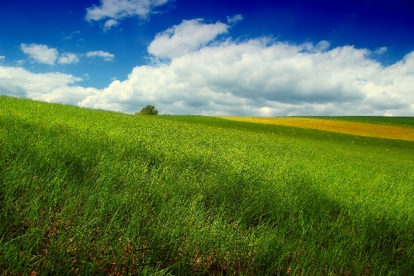 Landscape nature grass horizon Photo