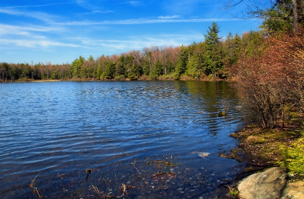 Landschaft baum wasser natur Foto