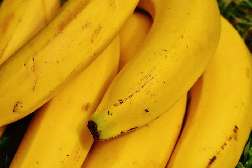 Nature plant fruit ripe