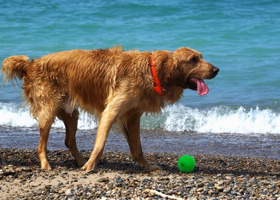 Beach water nature outdoor Photo