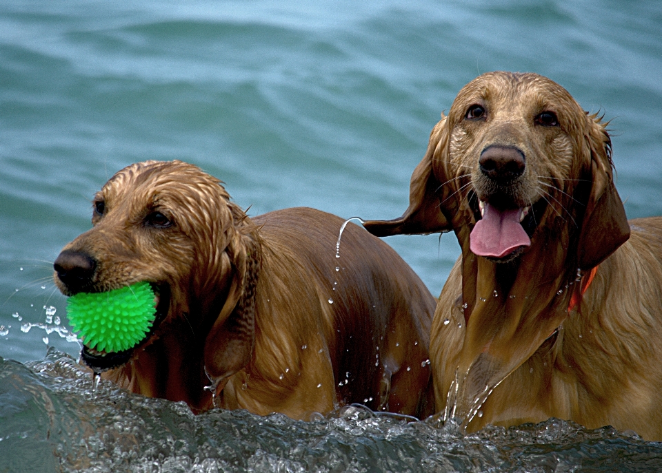 Beach water nature outdoor