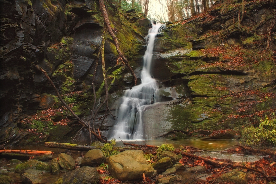 Wasser wald wasserfall bach
