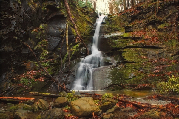 Foto água floresta cachoeira riacho
