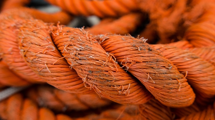 Rope wood texture leaf Photo