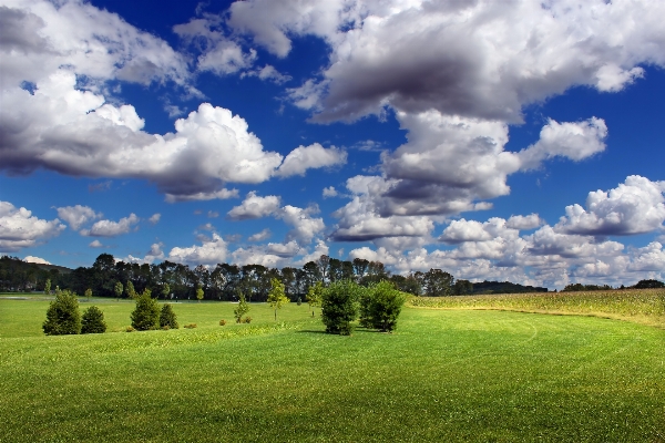 Landscape nature grass horizon Photo