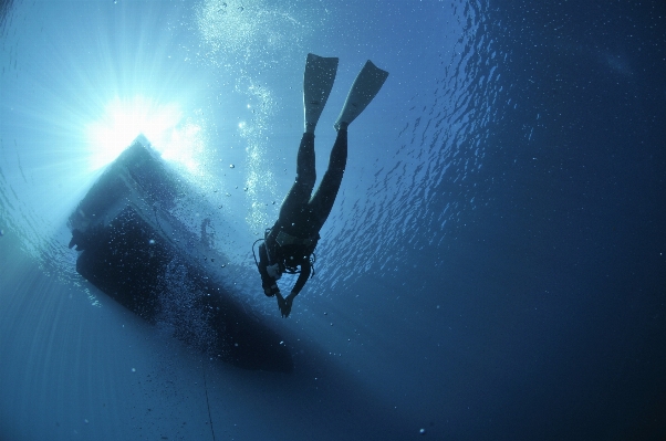 Sea recreation diving underwater Photo