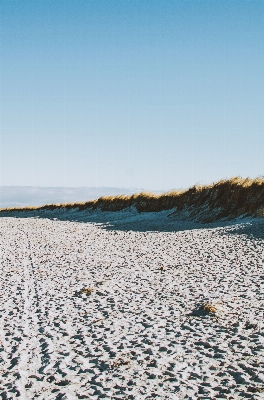 Beach sea coast water Photo