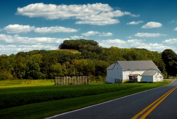 Landscape grass cloud sky Photo