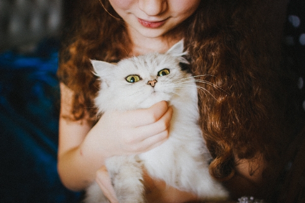 手 女の子 白 動物 写真