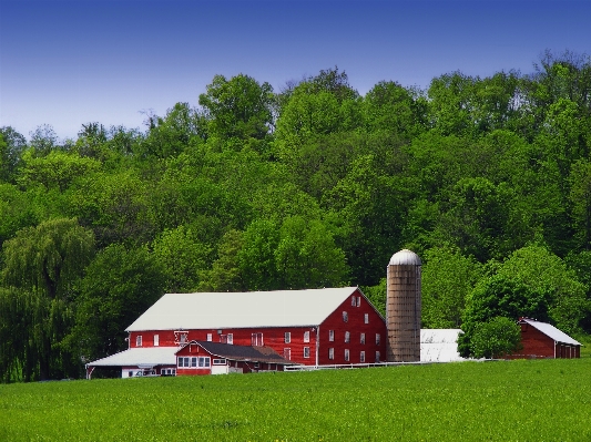 Landscape grass field farm Photo