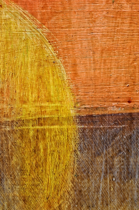 árbol madera luz de sol textura