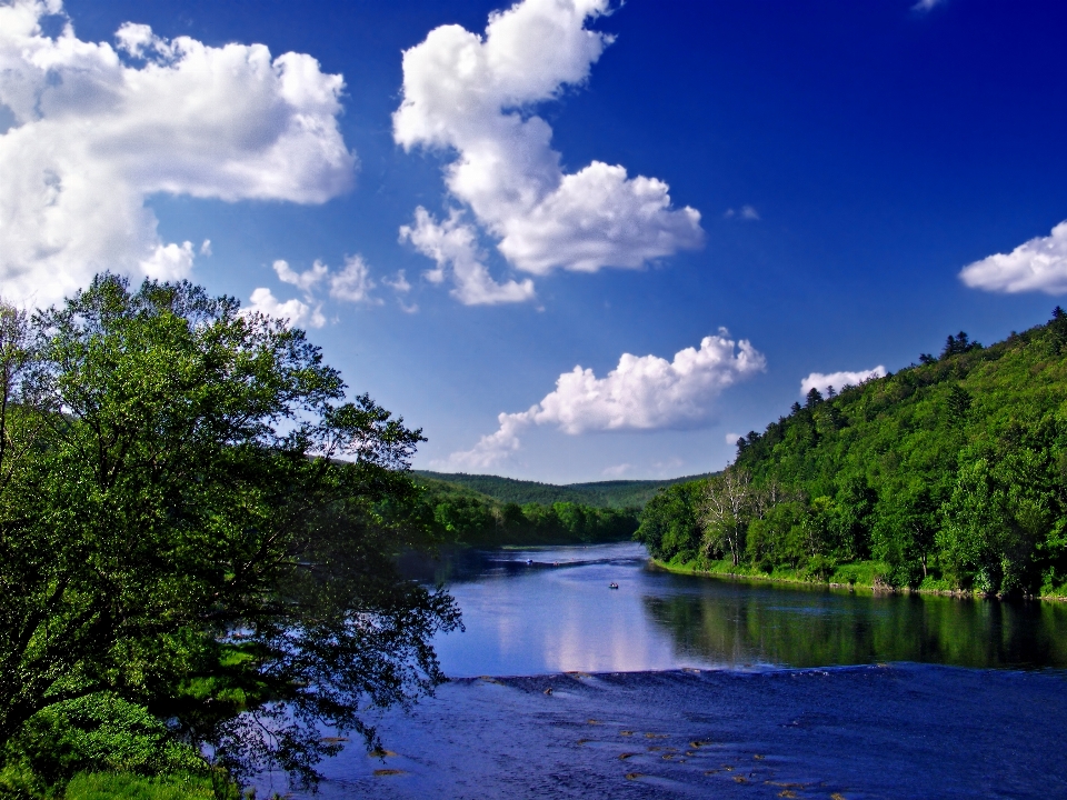 Landschaft meer baum wasser