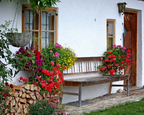 Bench house flower seat Photo