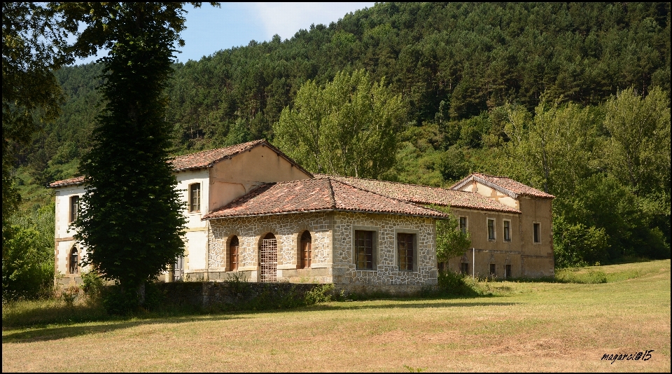 農場 villa 邸宅
 家