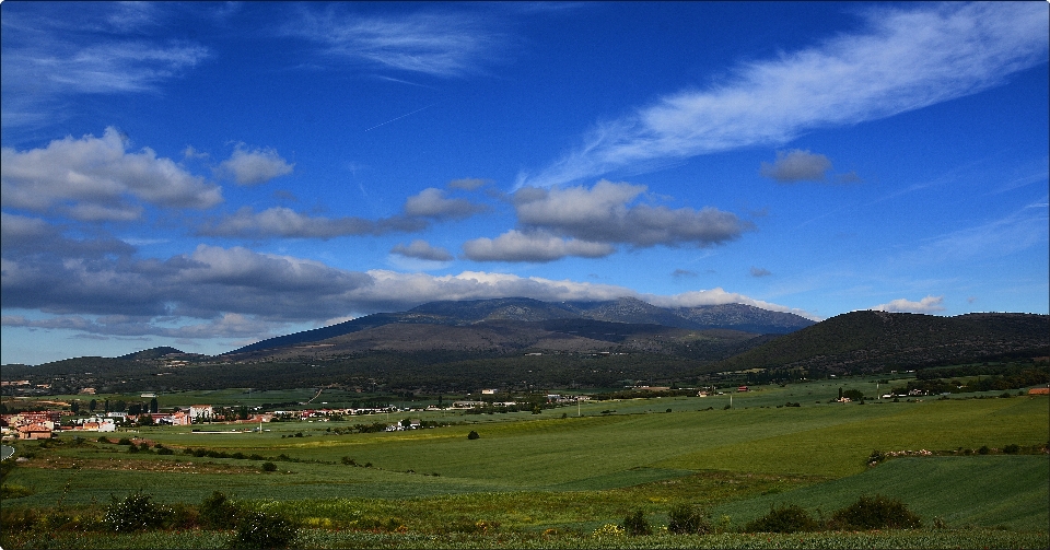 Paisaje césped horizonte montaña