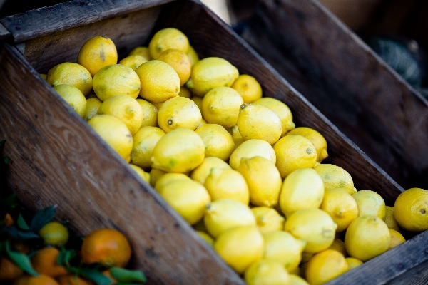 Foto Planta fruta alimento producir