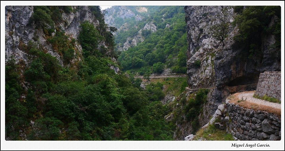 Trail valley cliff jungle