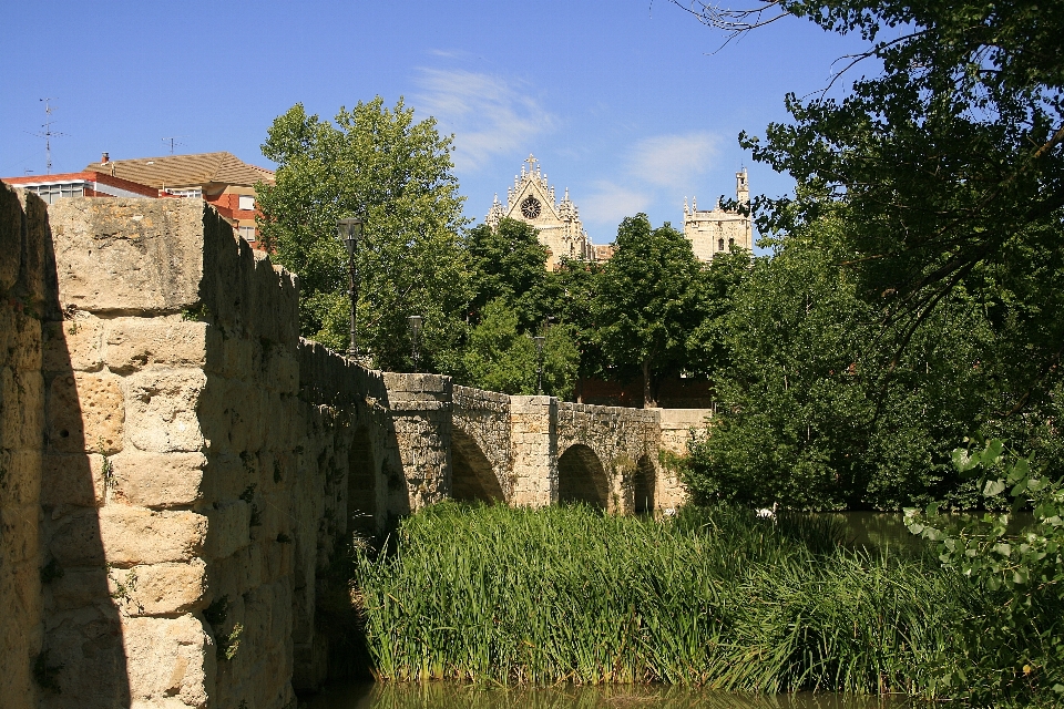 Tree house chateau wall