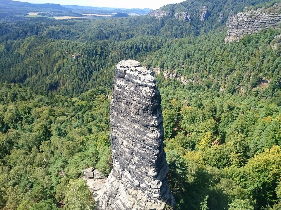 Landschaft natur wald rock