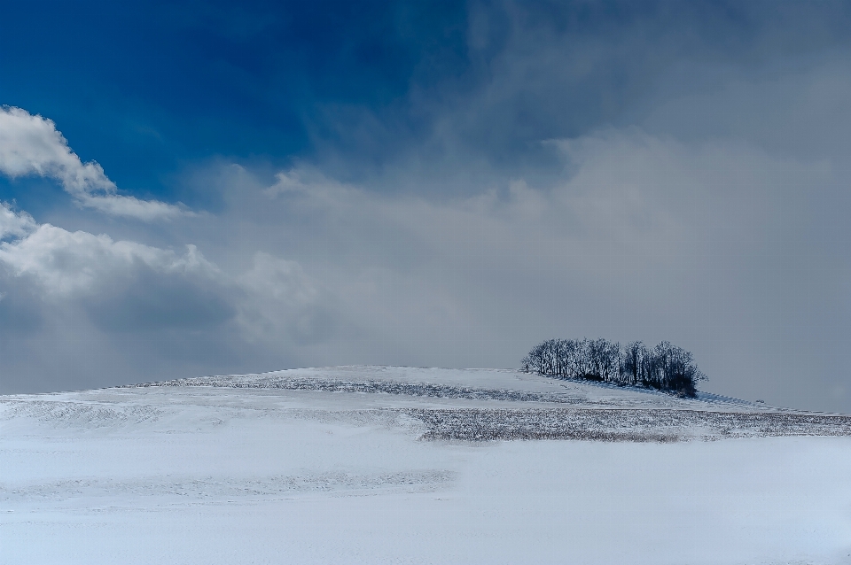 Drzewo góra śnieg zima