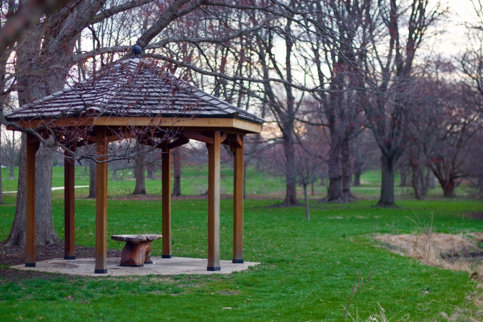 Backyard gazebo pavilion outdoor structure